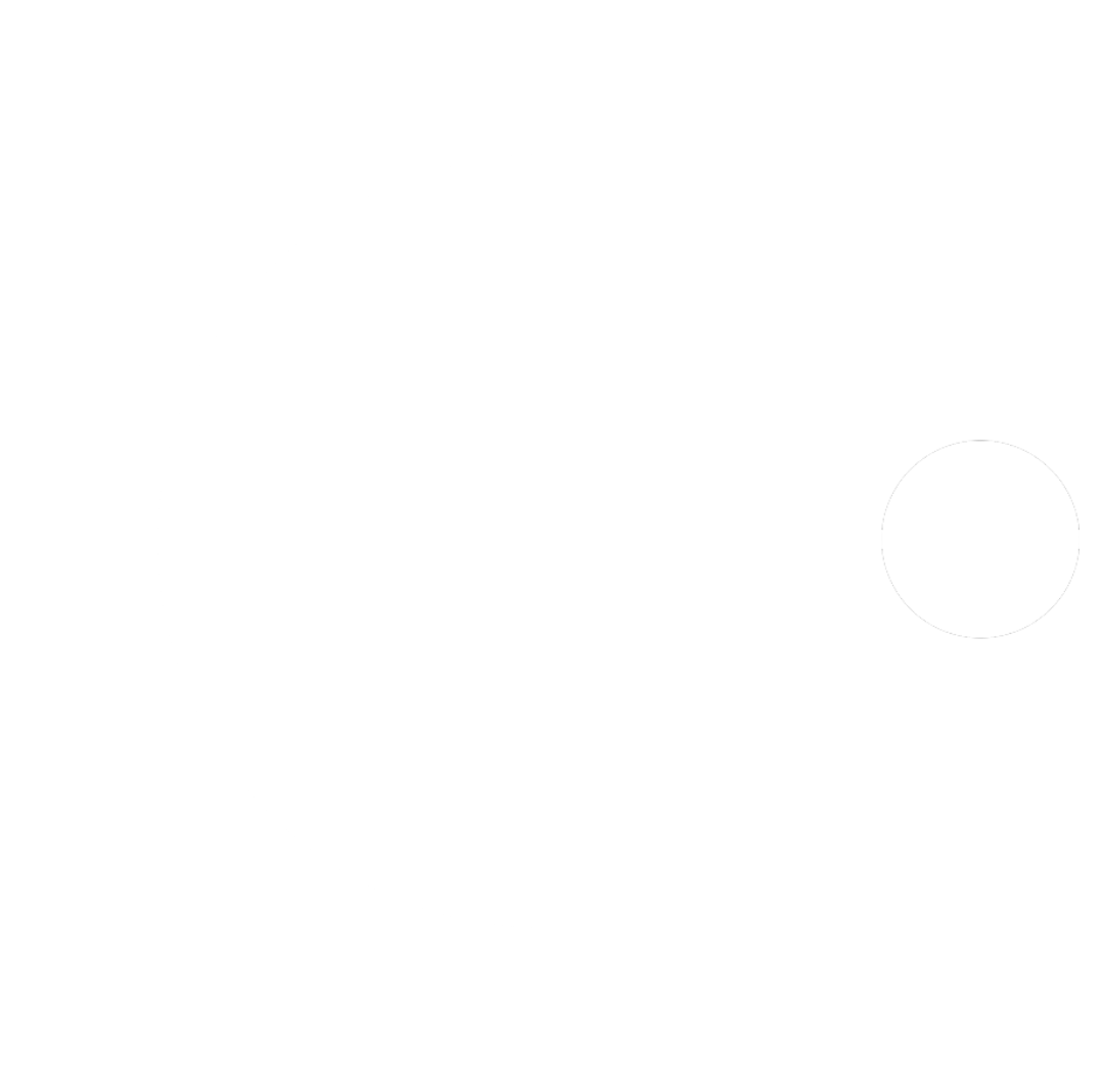 Ayush's logo